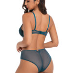 Fancy Mesh Embroidery briefs