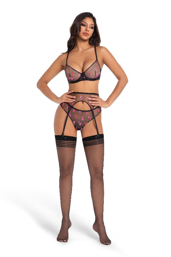 Fancy Mesh Embroidery briefs - Image 2