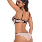 Fancy Embroidery Lace Briefs